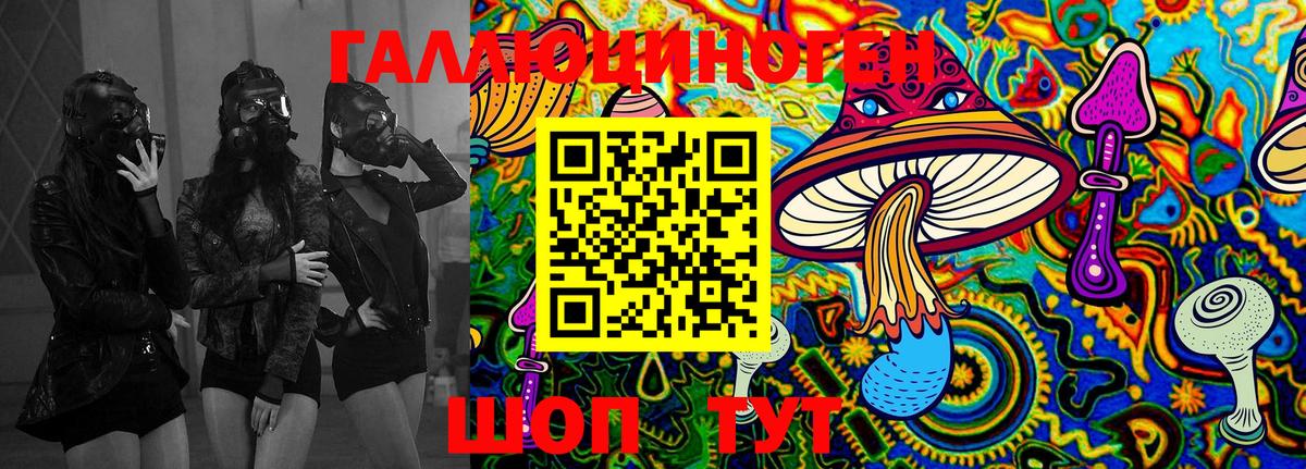 Томск  цены   Вход с VPN  Галлюциногенные грибы Psilocybine cubensis 