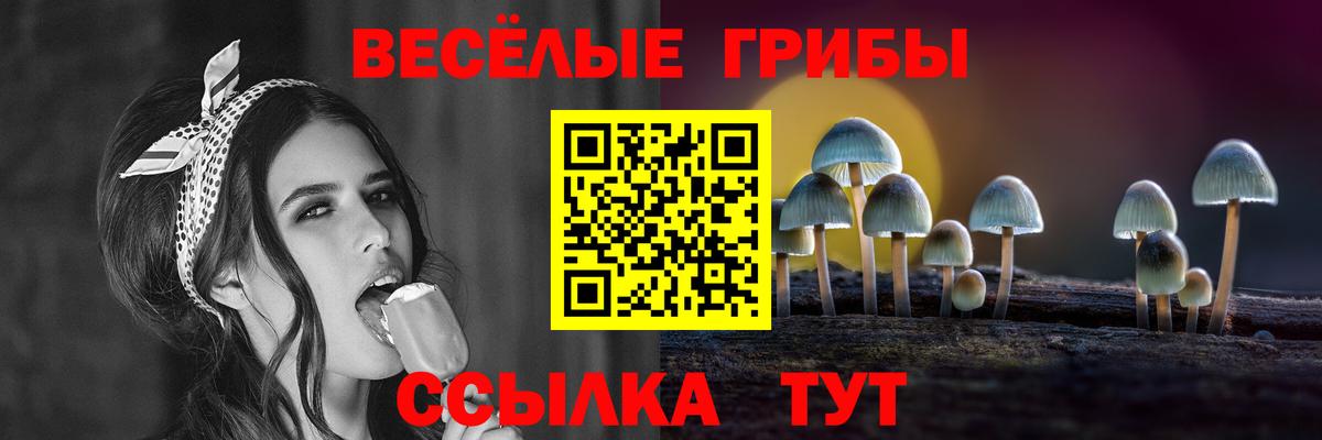 Псилоцибиновые грибы Cubensis Томск